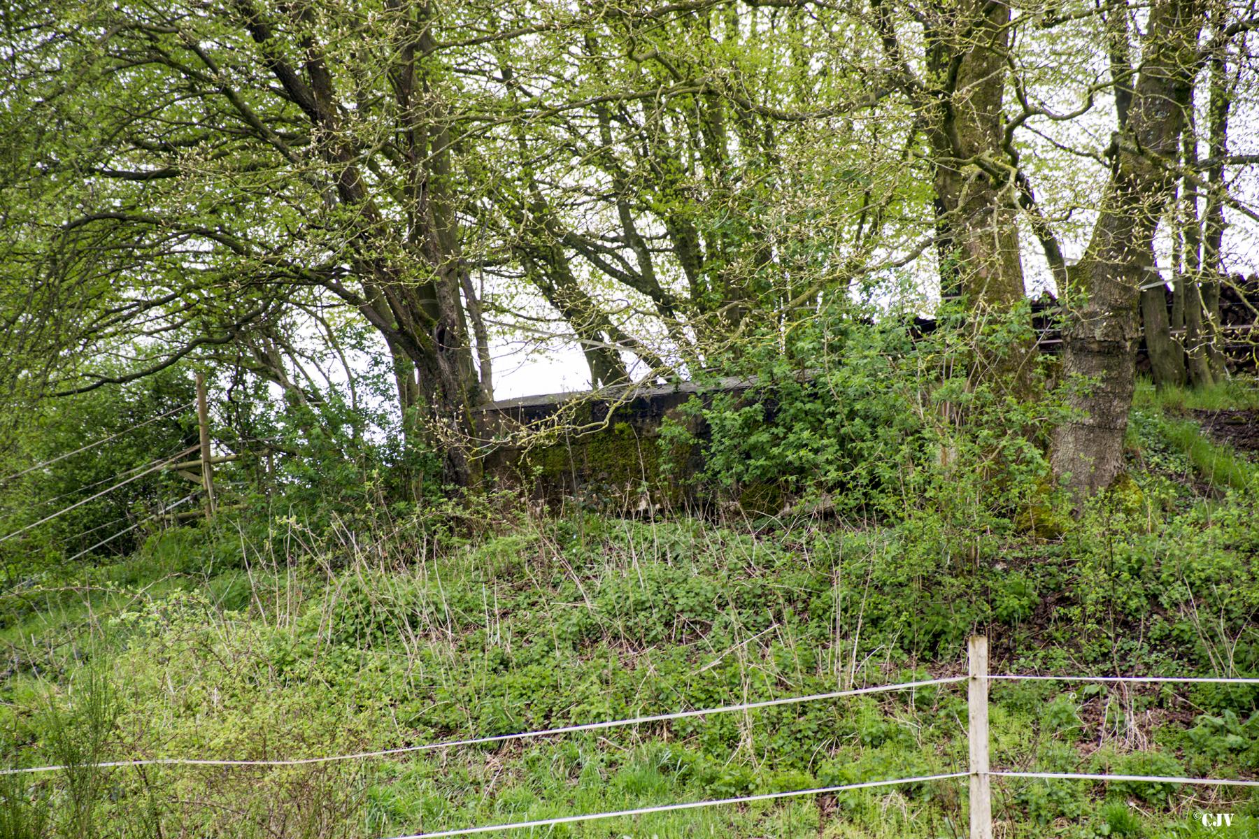 Ligne Maginot - BA34 - TAILLES MARQUISES - (Blockhaus pour canon) -  - Lia VERMEULEN