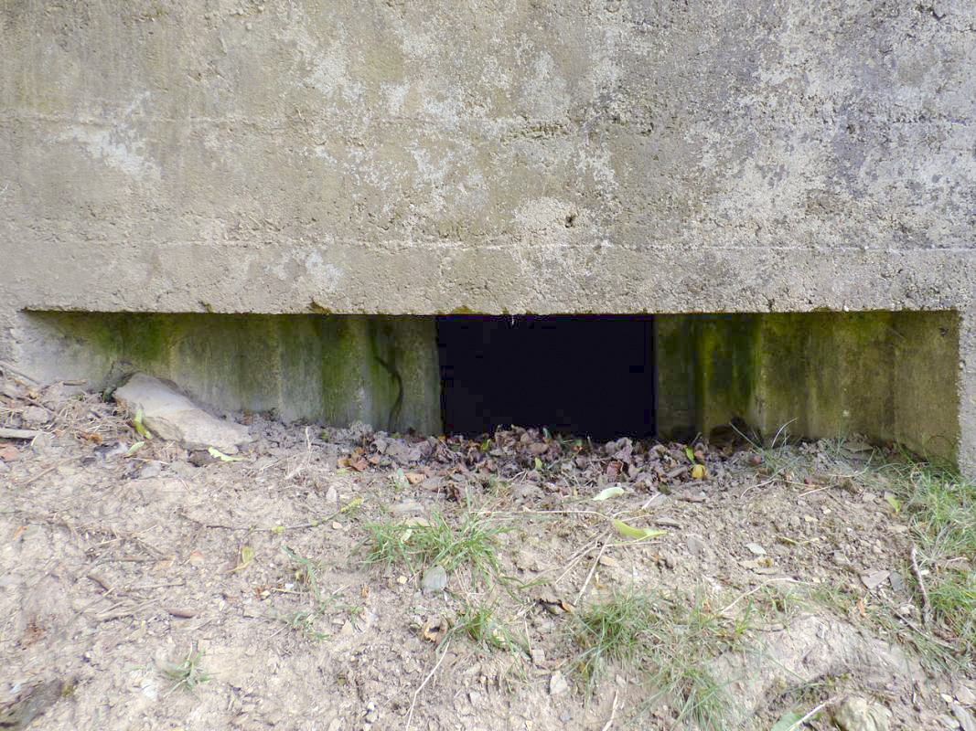 Ligne Maginot - BA36 - LA NEUVILLE EST - (Blockhaus pour canon) -  - JMBrams