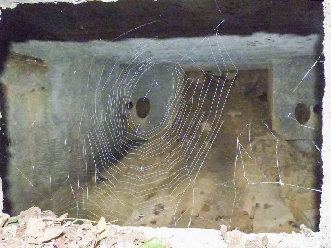 Ligne Maginot - BA36 - LA NEUVILLE EST - (Blockhaus pour canon) - Entrée - JMBrams