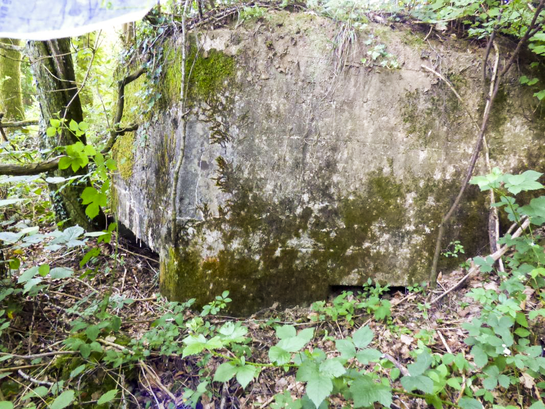 Ligne Maginot - BA35 - LA NEUVILLE OUEST - (Blockhaus pour canon) -  - JMBrams