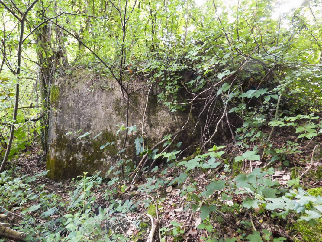 Ligne Maginot - BA35 - LA NEUVILLE OUEST - (Blockhaus pour canon) -  - JMBrams