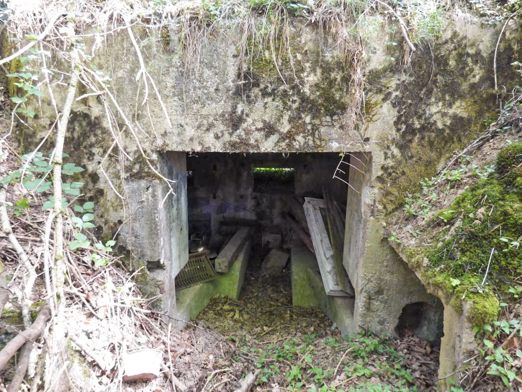 Ligne Maginot - BA35 - LA NEUVILLE OUEST - (Blockhaus pour canon) -  - JMBrams