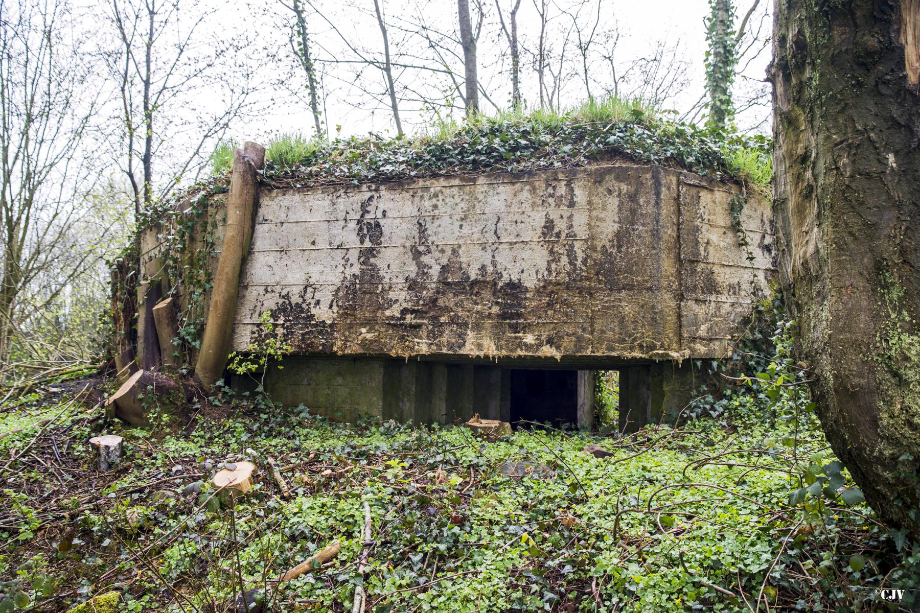 Ligne Maginot - BA37 - LE PAVILLON NORD - (Blockhaus pour canon) -  - Lia VERMEULEN