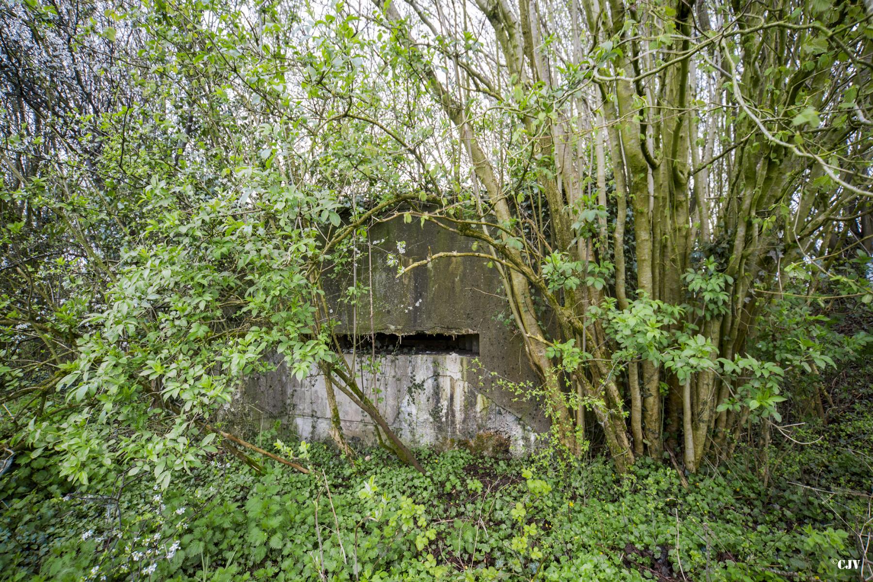 Ligne Maginot - BA38 - LE PAVILLON SUD - (Observatoire d'infanterie) -  - Lia VERMEULEN