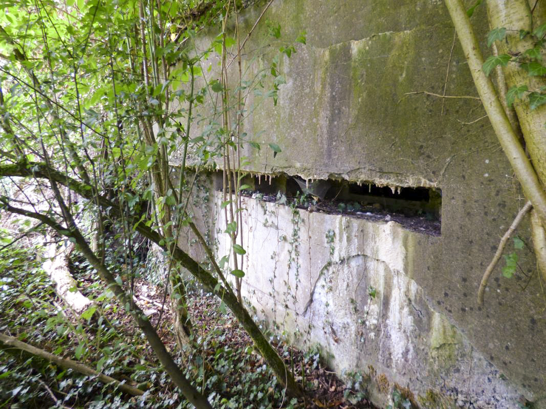 Ligne Maginot - BA39 - TERRE POCHET - (Observatoire d'infanterie) -  - JMBrams