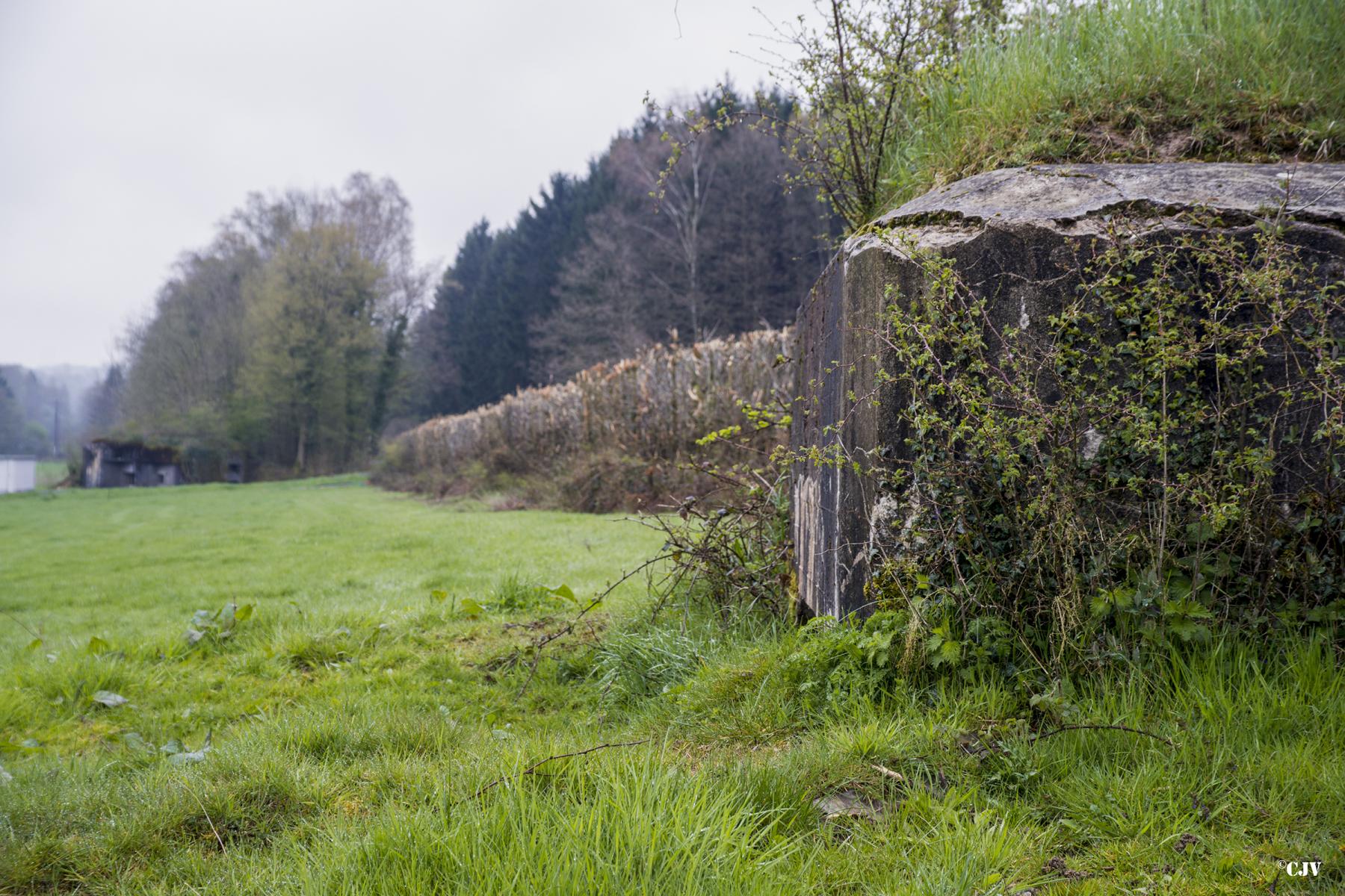 Ligne Maginot - BA40 - LE CHALET - (Blockhaus pour canon) - Ba40 avec l'A42 en arrière-plan - Lia VERMEULEN