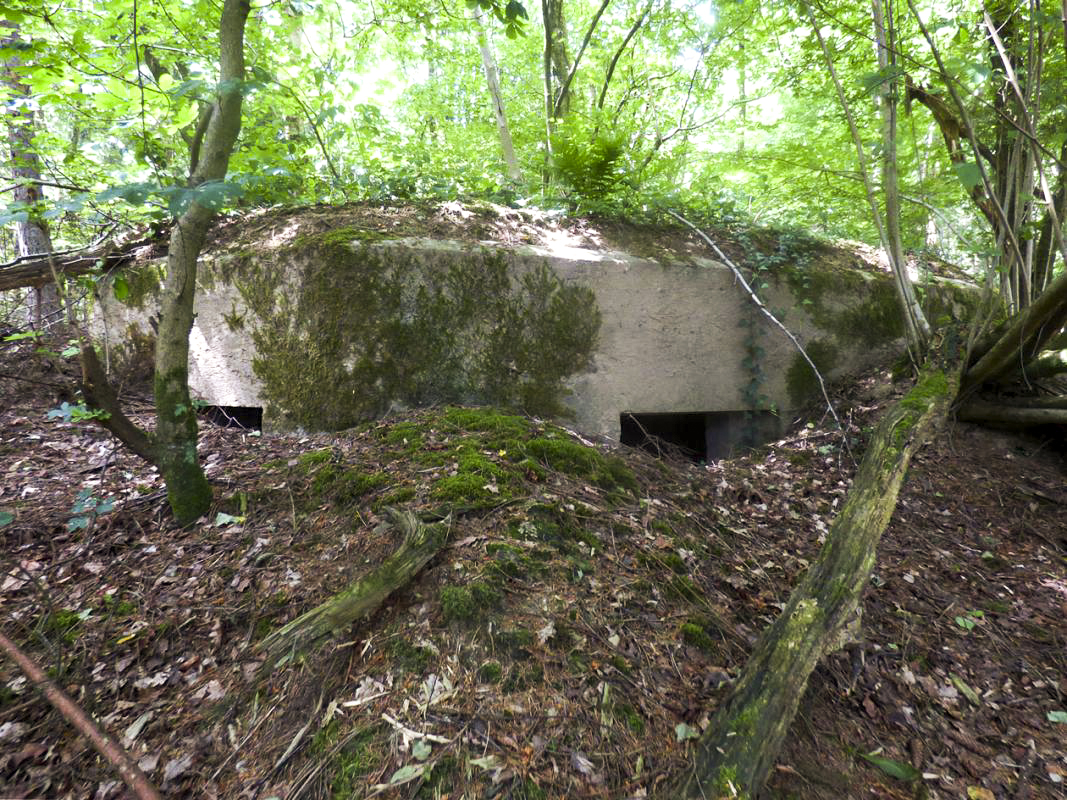 Ligne Maginot - BA41 - CAILLOT FONTAINE NORD - (Blockhaus pour canon) -  - JMBrams