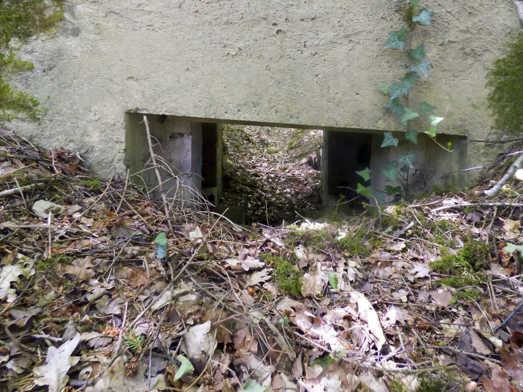 Ligne Maginot - BA41 - CAILLOT FONTAINE NORD - (Blockhaus pour canon) -  - JMBrams