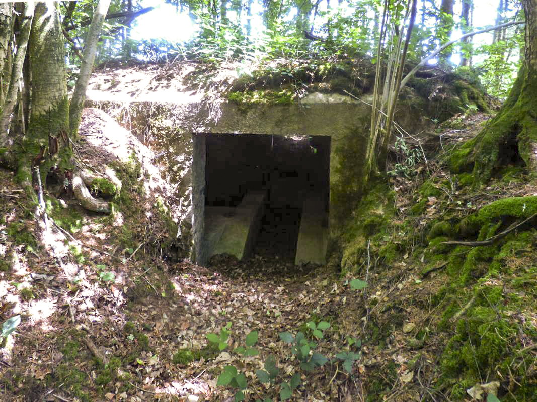 Ligne Maginot - BA41 - CAILLOT FONTAINE NORD - (Blockhaus pour canon) -  - JMBrams