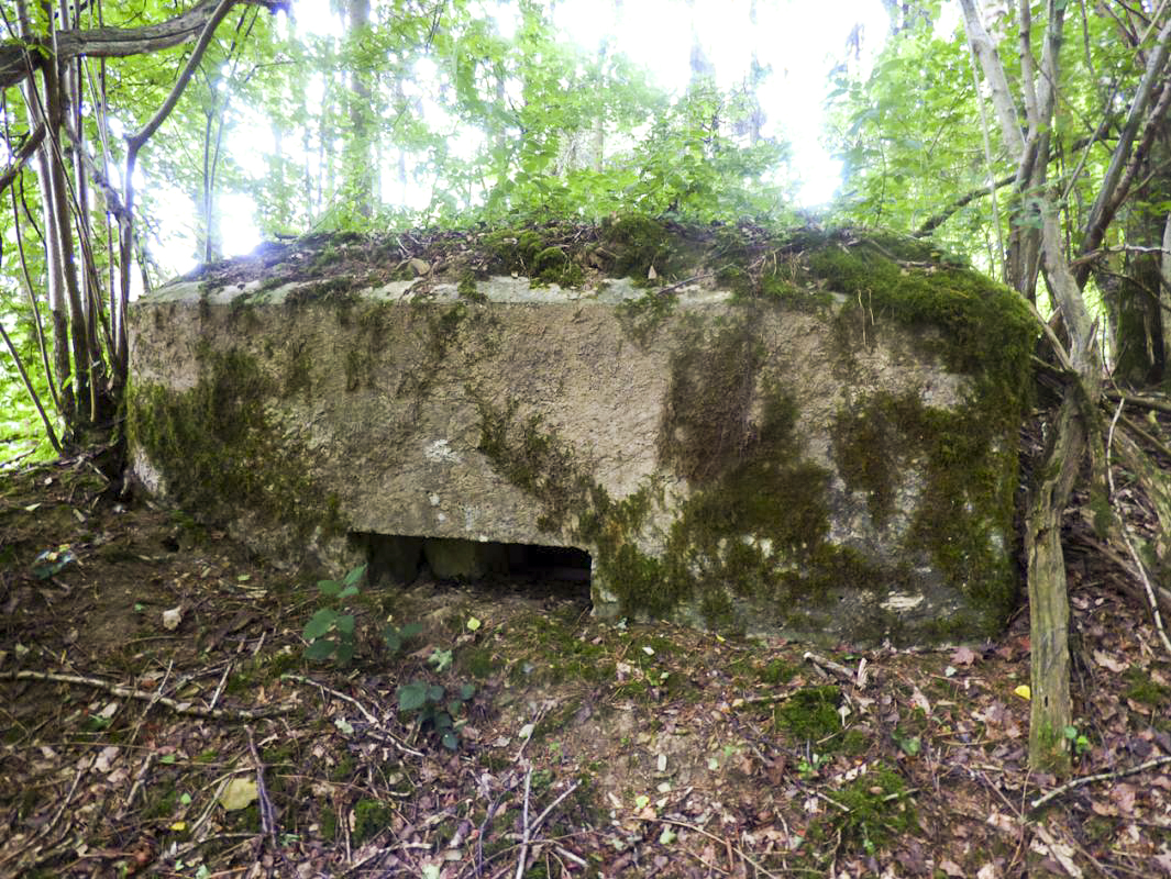 Ligne Maginot - BA41 - CAILLOT FONTAINE NORD - (Blockhaus pour canon) -  - JMBrams