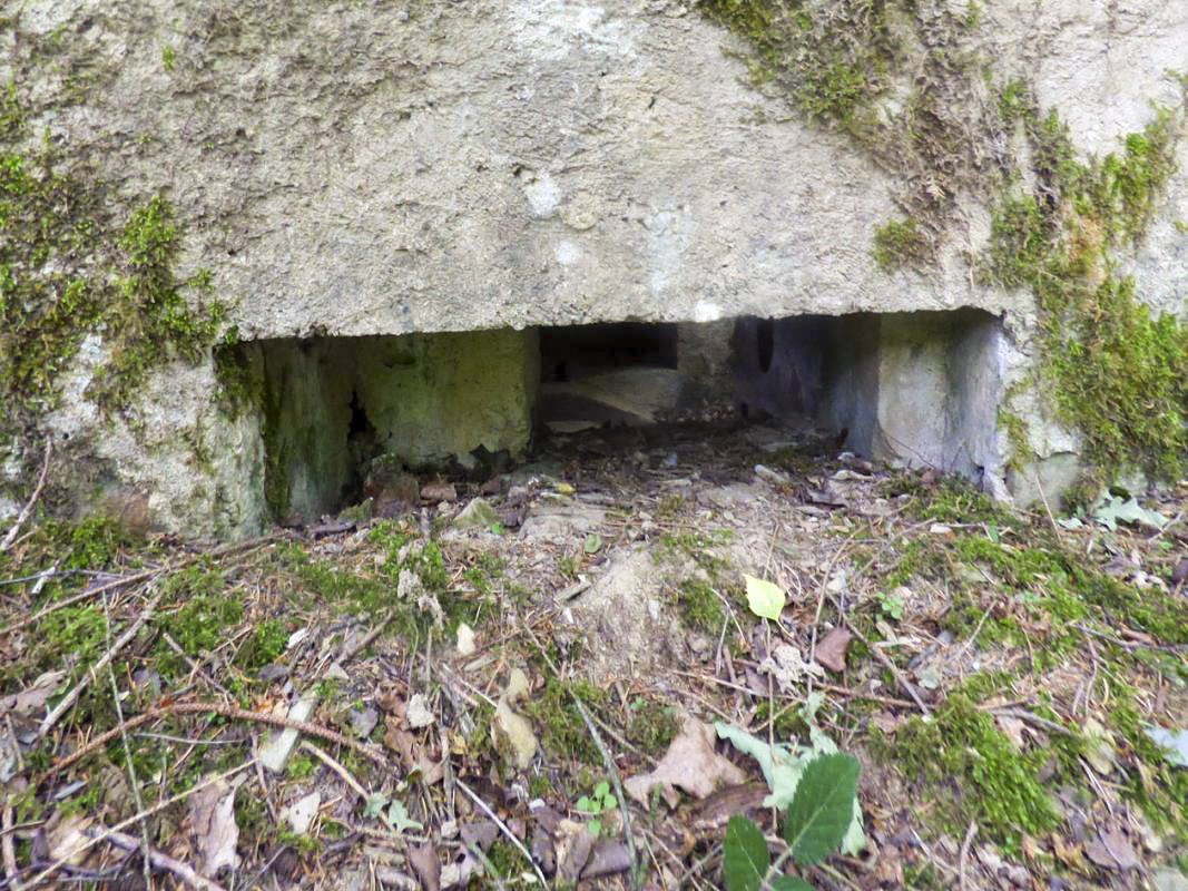 Ligne Maginot - BA41 - CAILLOT FONTAINE NORD - (Blockhaus pour canon) -  - JMBrams