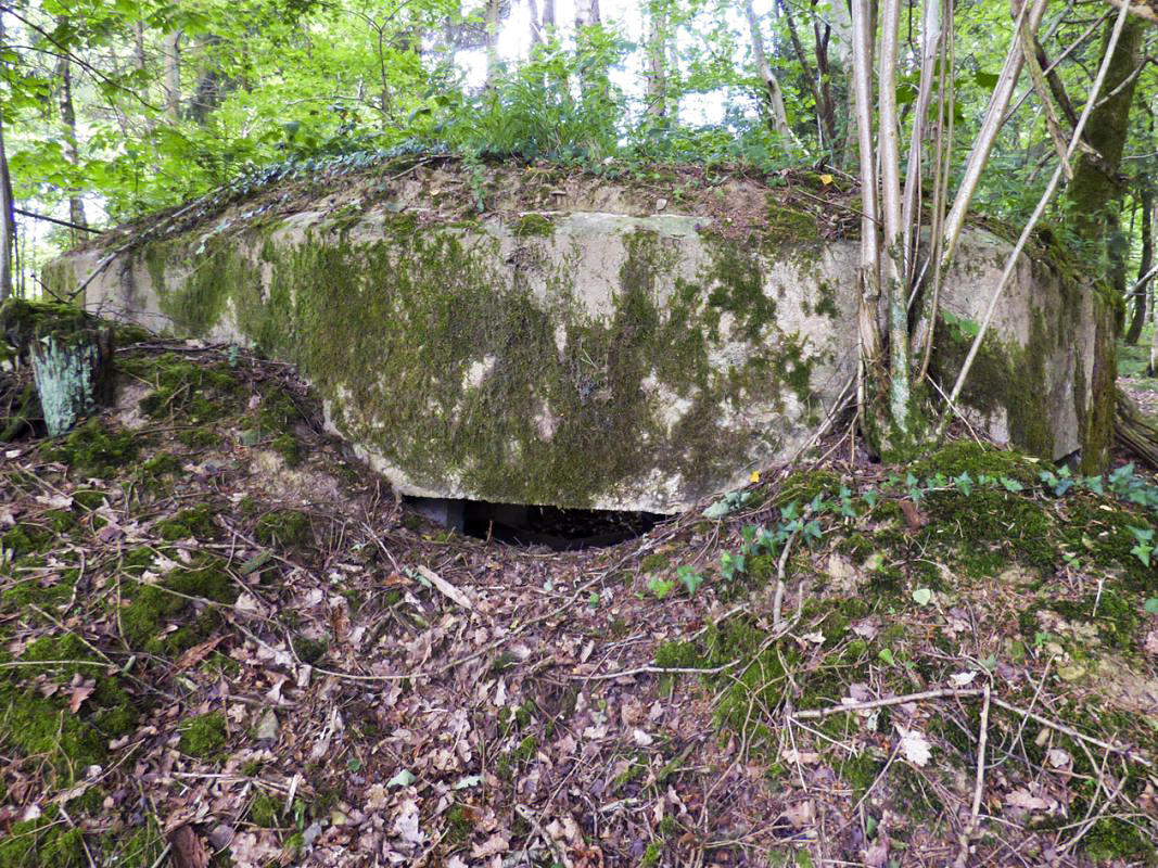 Ligne Maginot - BA41 - CAILLOT FONTAINE NORD - (Blockhaus pour canon) -  - JMBrams