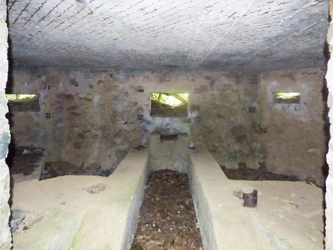 Ligne Maginot - BA41 - CAILLOT FONTAINE NORD - (Blockhaus pour canon) -  - JMBrams