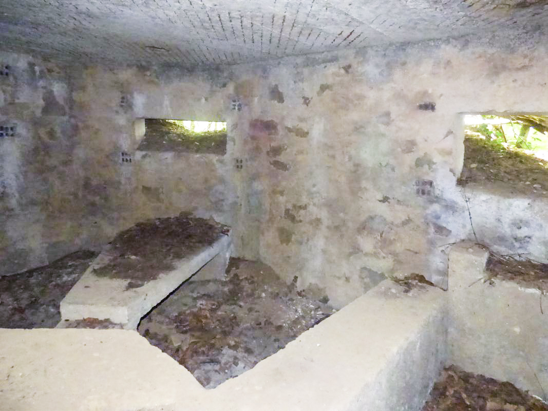 Ligne Maginot - BA41 - CAILLOT FONTAINE NORD - (Blockhaus pour canon) -  - JMBrams
