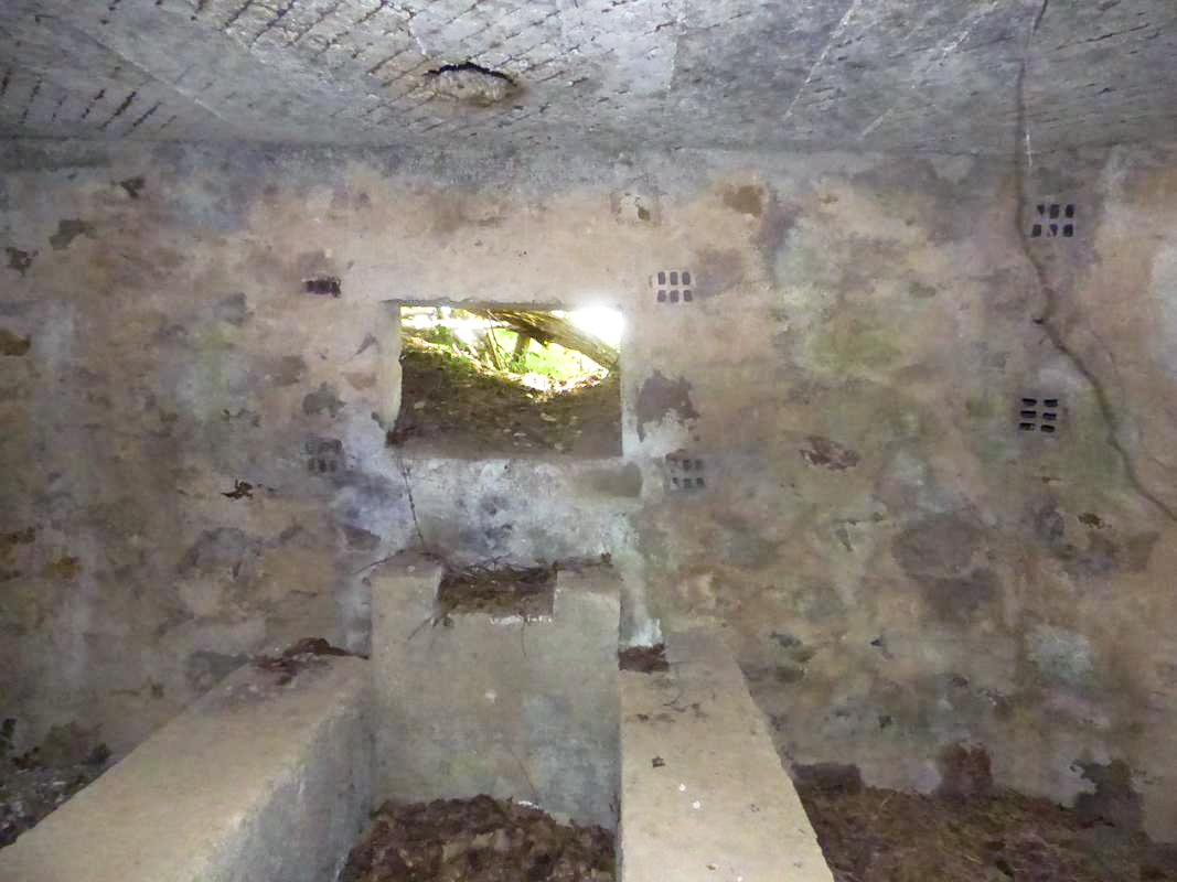 Ligne Maginot - BA41 - CAILLOT FONTAINE NORD - (Blockhaus pour canon) -  - JMBrams