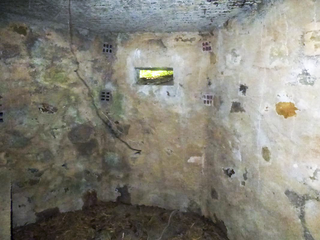 Ligne Maginot - BA41 - CAILLOT FONTAINE NORD - (Blockhaus pour canon) -  - JMBrams