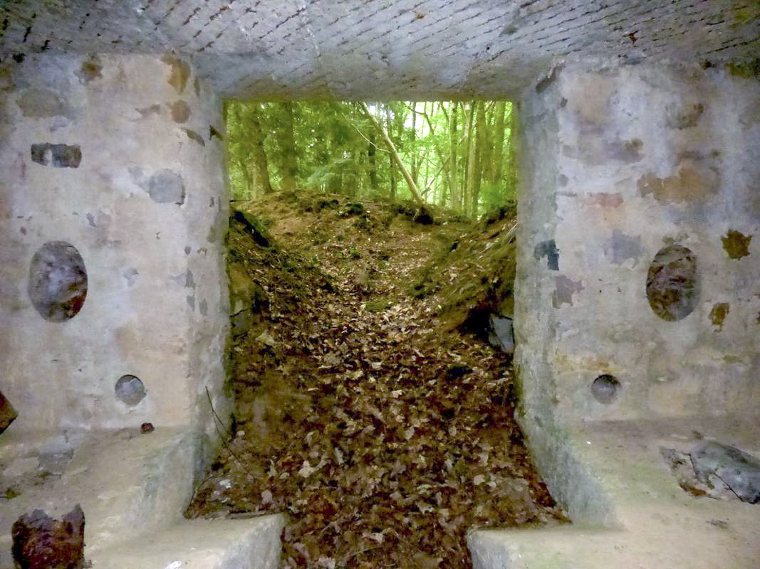 Ligne Maginot - BA41 - CAILLOT FONTAINE NORD - (Blockhaus pour canon) -  - JMBrams