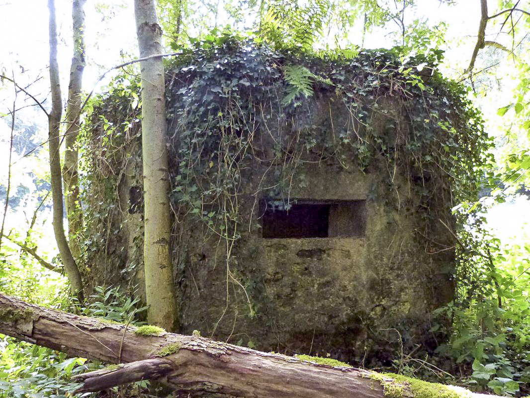 Ligne Maginot - BA44BIS - ETANG DE LA MOTTE - (Blockhaus pour canon) -  - JMBrams