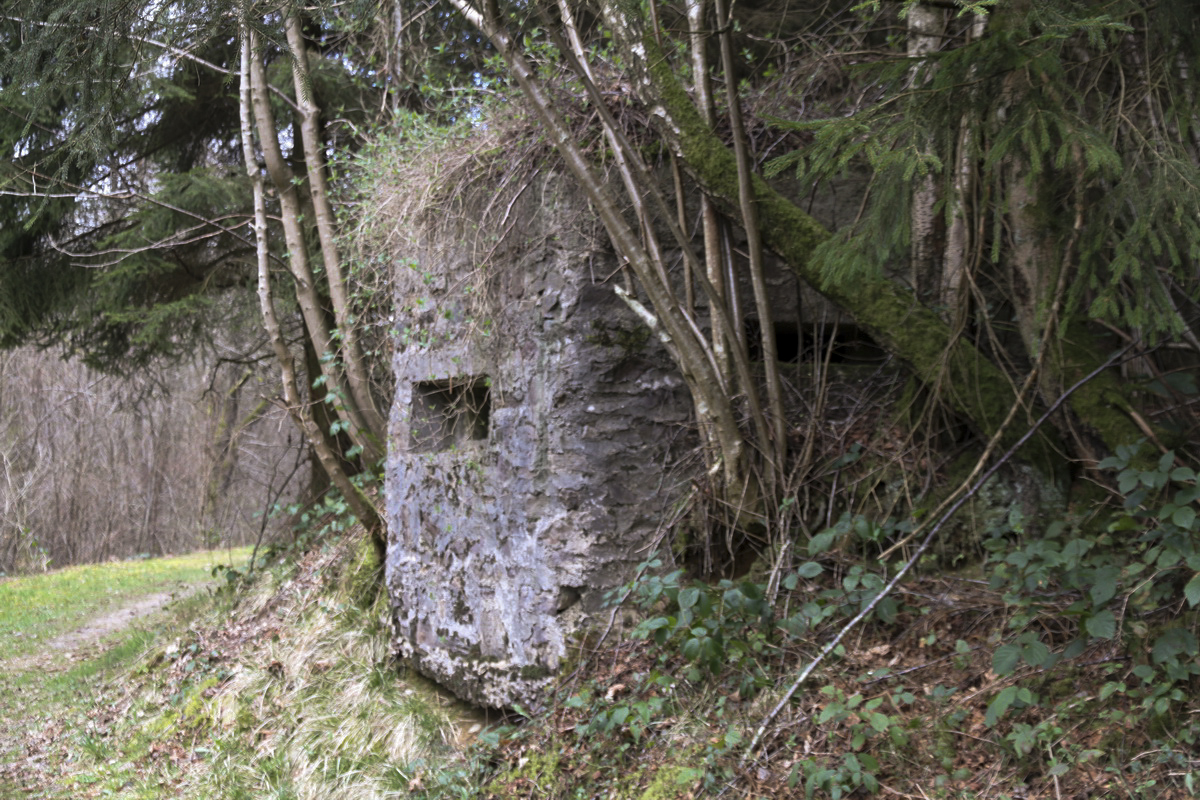 Ligne Maginot - BA44TER - TAILLE DE LA MOTTE - (Blockhaus pour arme infanterie) -  - Alain Perouffe