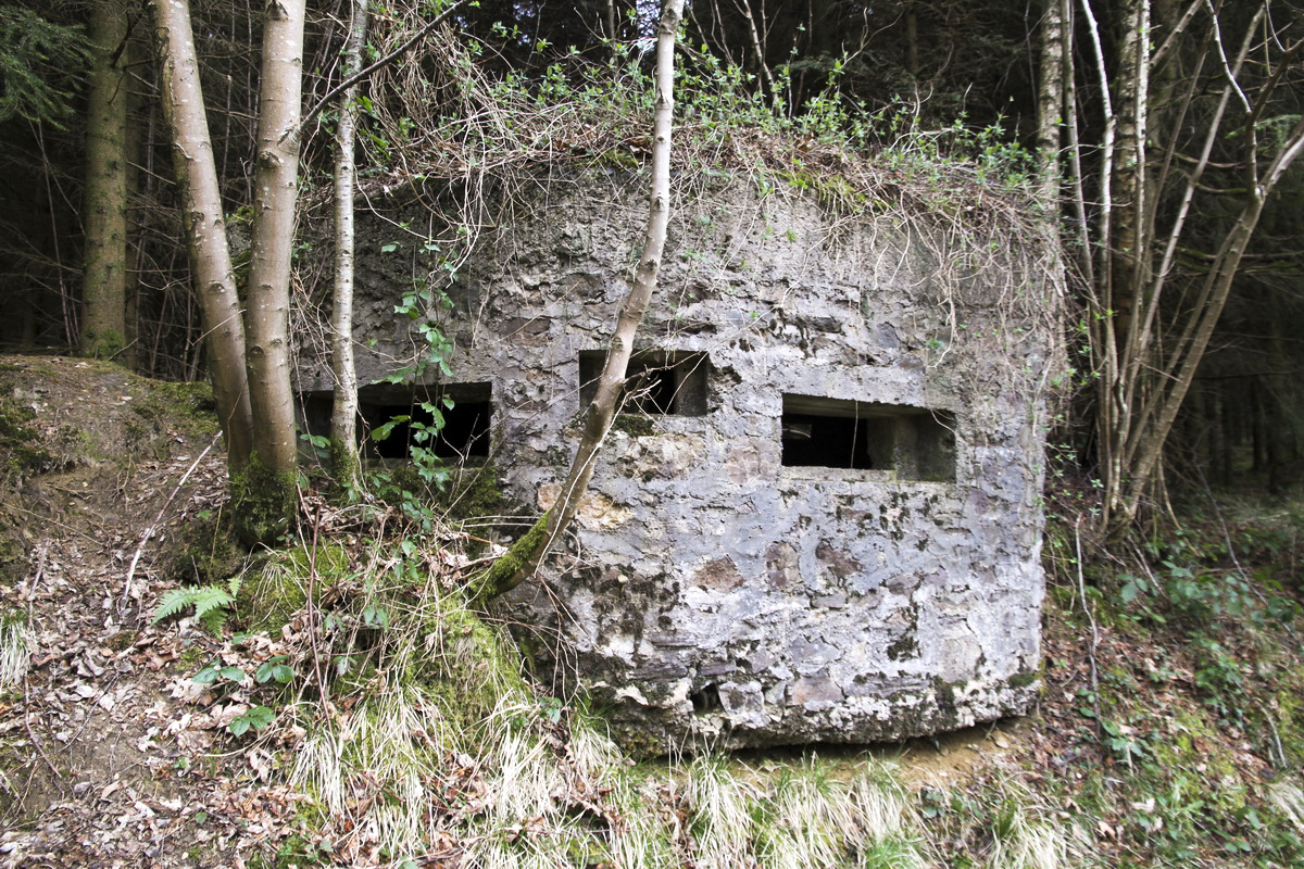 Ligne Maginot - BA44TER - TAILLE DE LA MOTTE - (Blockhaus pour arme infanterie) -  - Alain Perouffe