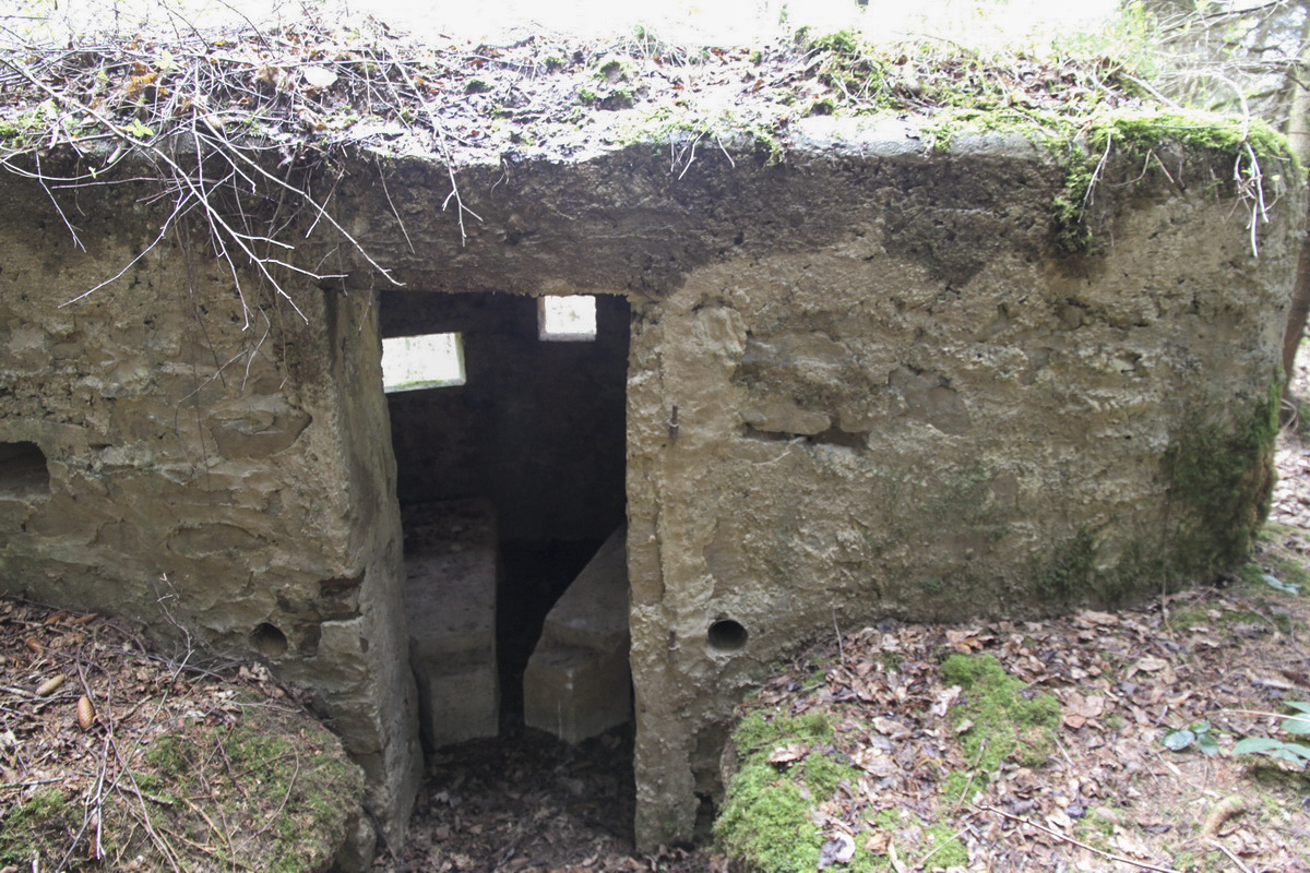 Ligne Maginot - BA44TER - TAILLE DE LA MOTTE - (Blockhaus pour arme infanterie) -  - Alain Perouffe