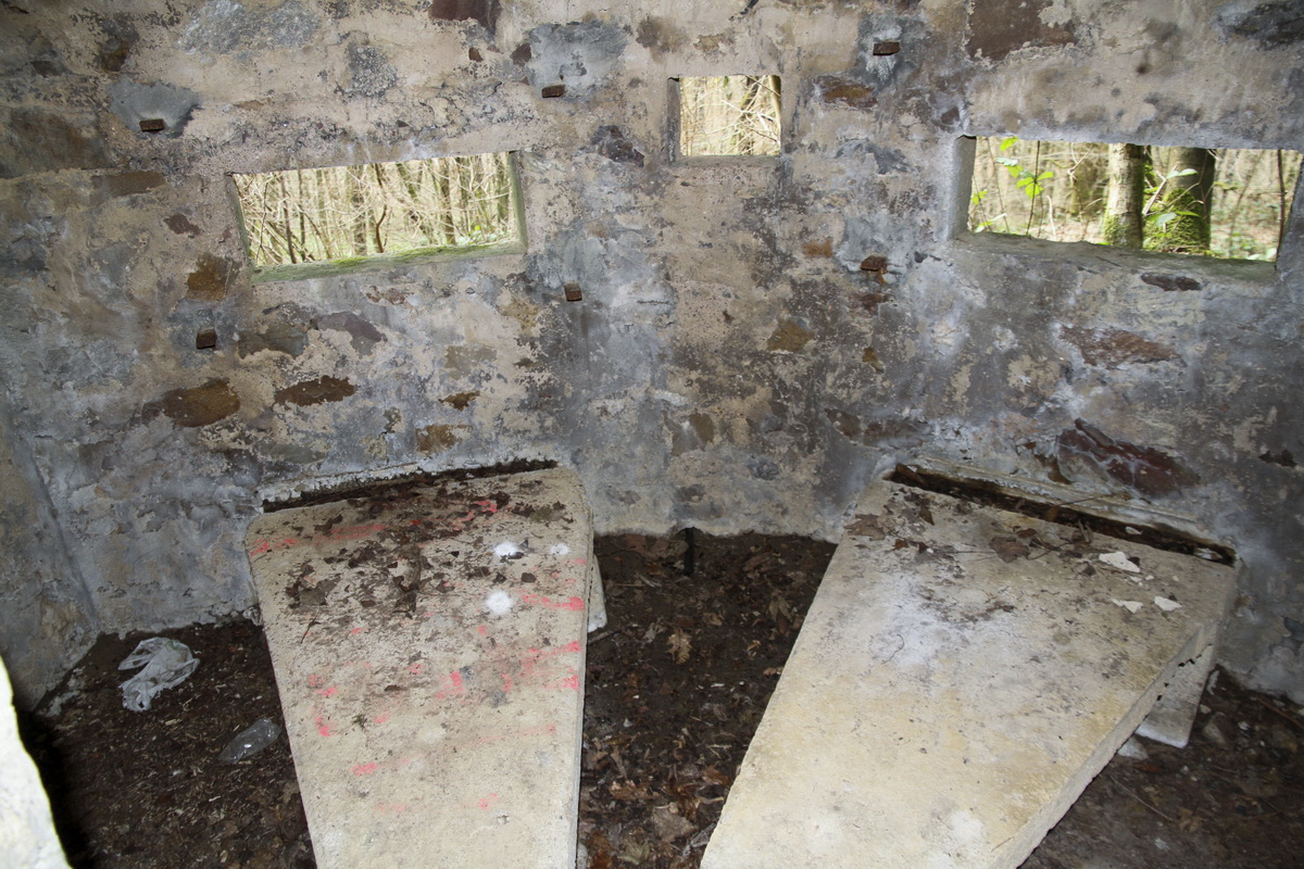 Ligne Maginot - BA44TER - TAILLE DE LA MOTTE - (Blockhaus pour arme infanterie) -  - Alain Perouffe