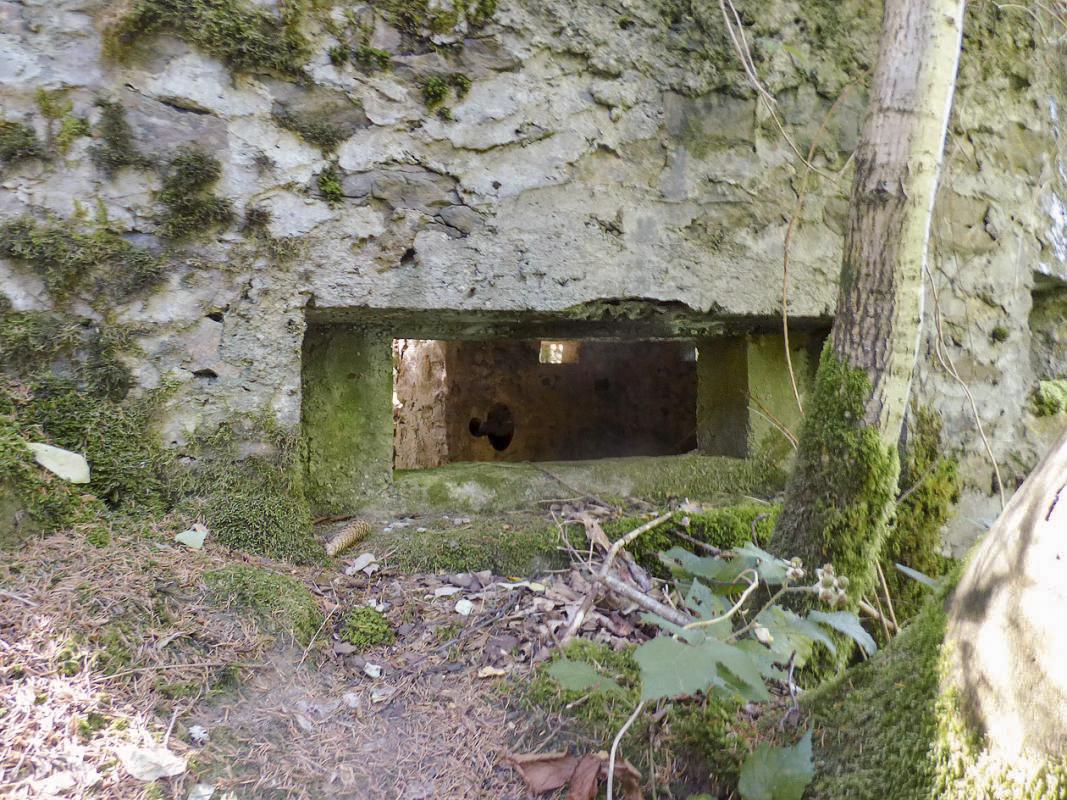 Ligne Maginot - BA44TER - TAILLE DE LA MOTTE - (Blockhaus pour arme infanterie) -  - JMBrams