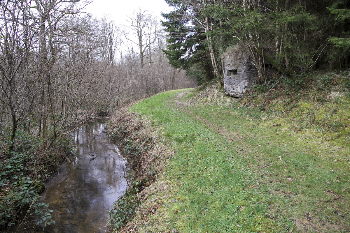 Ligne Maginot - BA44TER - TAILLE DE LA MOTTE - (Blockhaus pour arme infanterie) -  - Alain Perouffe