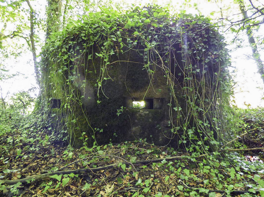 Ligne Maginot - BA45 - GRAND DOUAIRE OUEST - (Blockhaus pour arme infanterie) -  - JMBrams