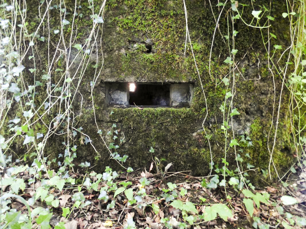 Ligne Maginot - BA45 - GRAND DOUAIRE OUEST - (Blockhaus pour arme infanterie) -  - JMBrams