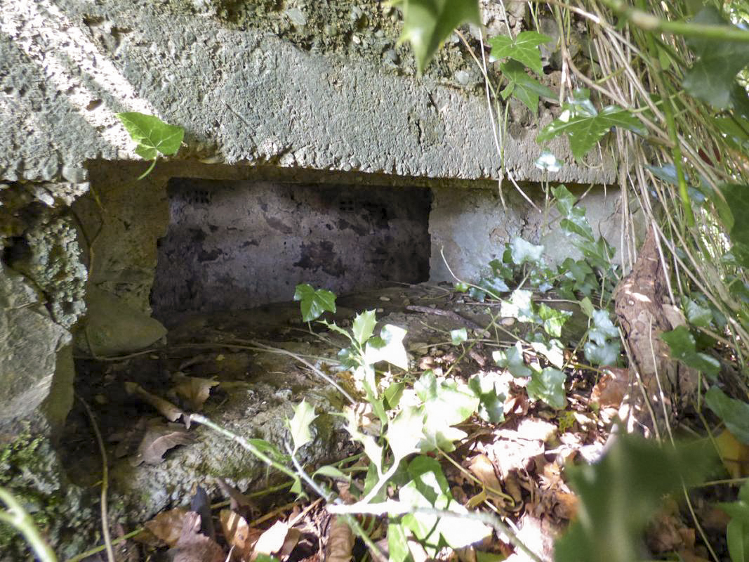 Ligne Maginot - BA45 - GRAND DOUAIRE OUEST - (Blockhaus pour arme infanterie) -  - JMBrams