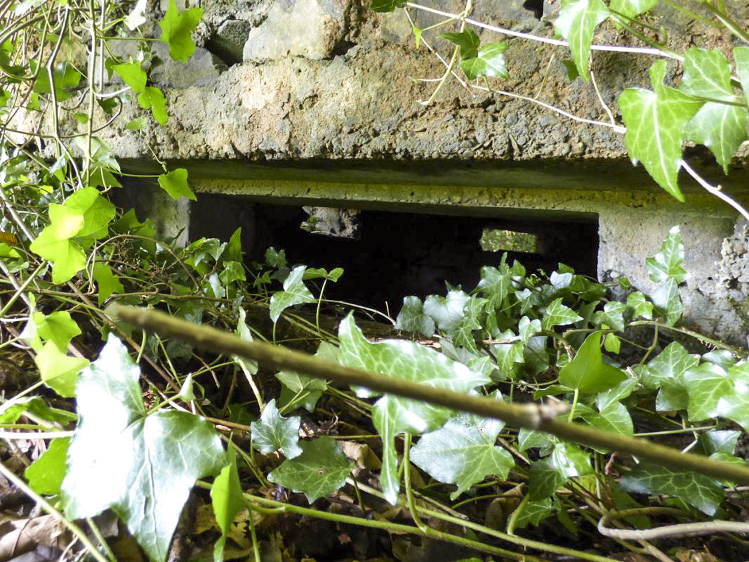 Ligne Maginot - BA45 - GRAND DOUAIRE OUEST - (Blockhaus pour arme infanterie) -  - JMBrams