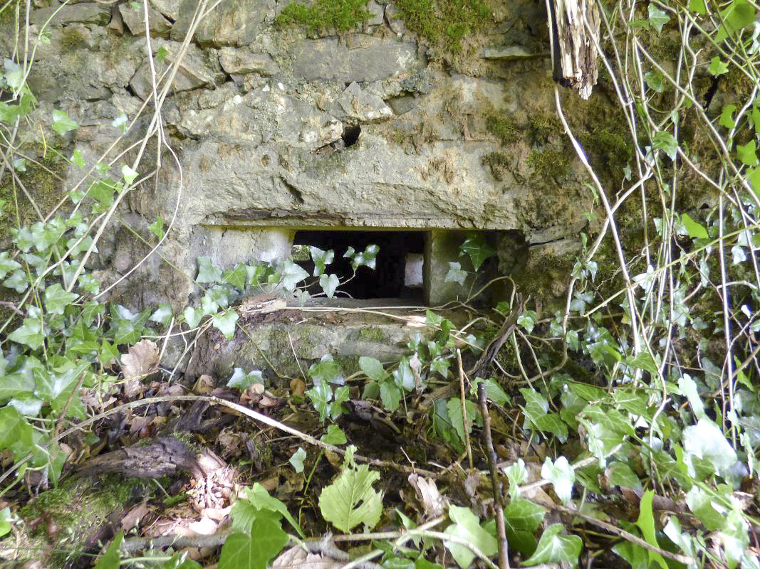 Ligne Maginot - BA45 - GRAND DOUAIRE OUEST - (Blockhaus pour arme infanterie) -  - JMBrams