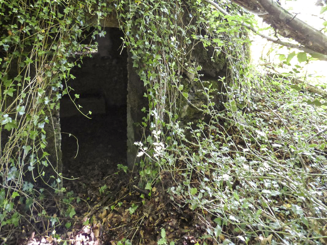 Ligne Maginot - BA45 - GRAND DOUAIRE OUEST - (Blockhaus pour arme infanterie) -  - JMBrams
