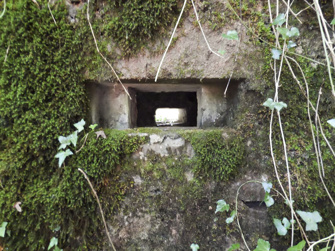 Ligne Maginot - BA45 - GRAND DOUAIRE OUEST - (Blockhaus pour arme infanterie) -  - JMBrams