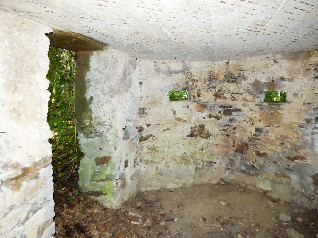Ligne Maginot - BA45 - GRAND DOUAIRE OUEST - (Blockhaus pour arme infanterie) -  - JMBrams