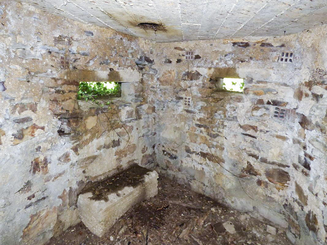 Ligne Maginot - BA45 - GRAND DOUAIRE OUEST - (Blockhaus pour arme infanterie) -  - JMBrams