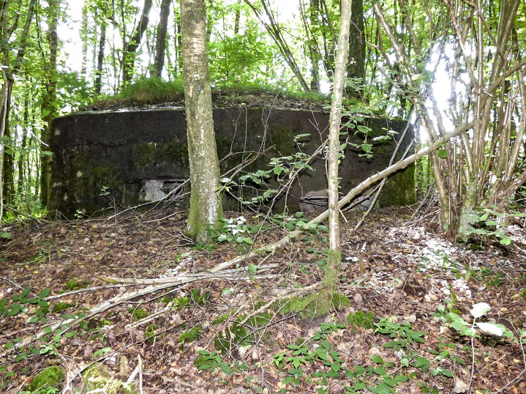 Ligne Maginot - BA46 - ÉTANG DE GLAND - (Blockhaus pour arme infanterie) -  - JMBrams