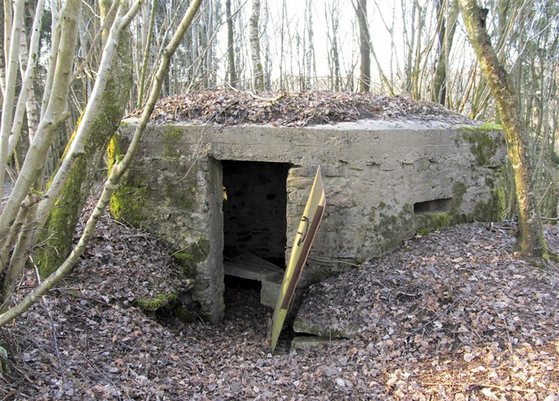 Ligne Maginot - BA46 - ÉTANG DE GLAND - (Blockhaus pour arme infanterie) -  - François MATHOT