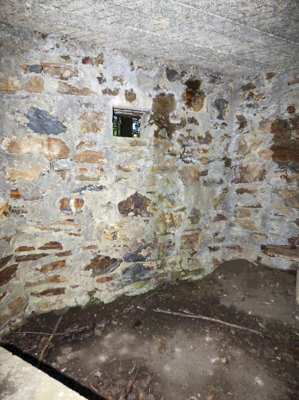 Ligne Maginot - BA46 - ÉTANG DE GLAND - (Blockhaus pour arme infanterie) -  - JMBrams