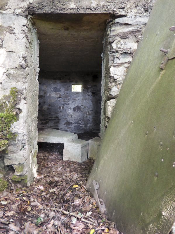 Ligne Maginot - BA46 - ÉTANG DE GLAND - (Blockhaus pour arme infanterie) -  - JMBrams