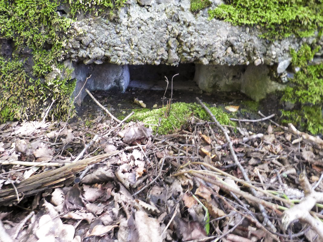 Ligne Maginot - BA46 - ÉTANG DE GLAND - (Blockhaus pour arme infanterie) -  - JMBrams