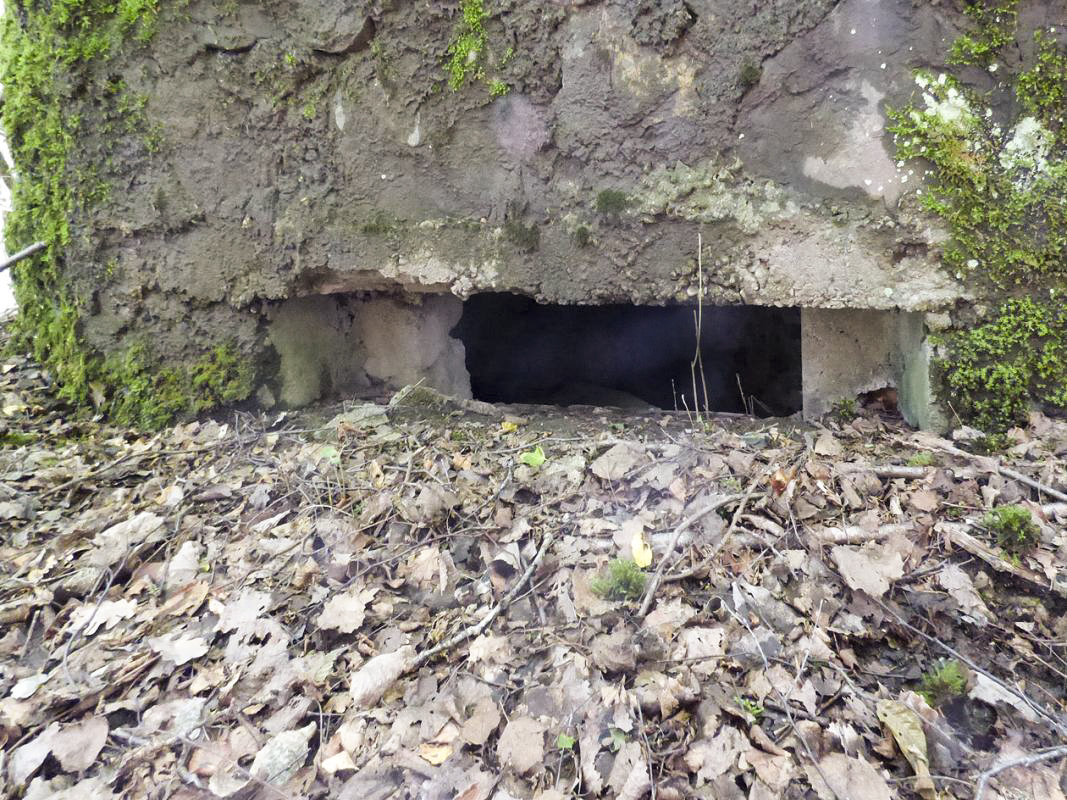 Ligne Maginot - BA46 - ÉTANG DE GLAND - (Blockhaus pour arme infanterie) -  - JMBrams