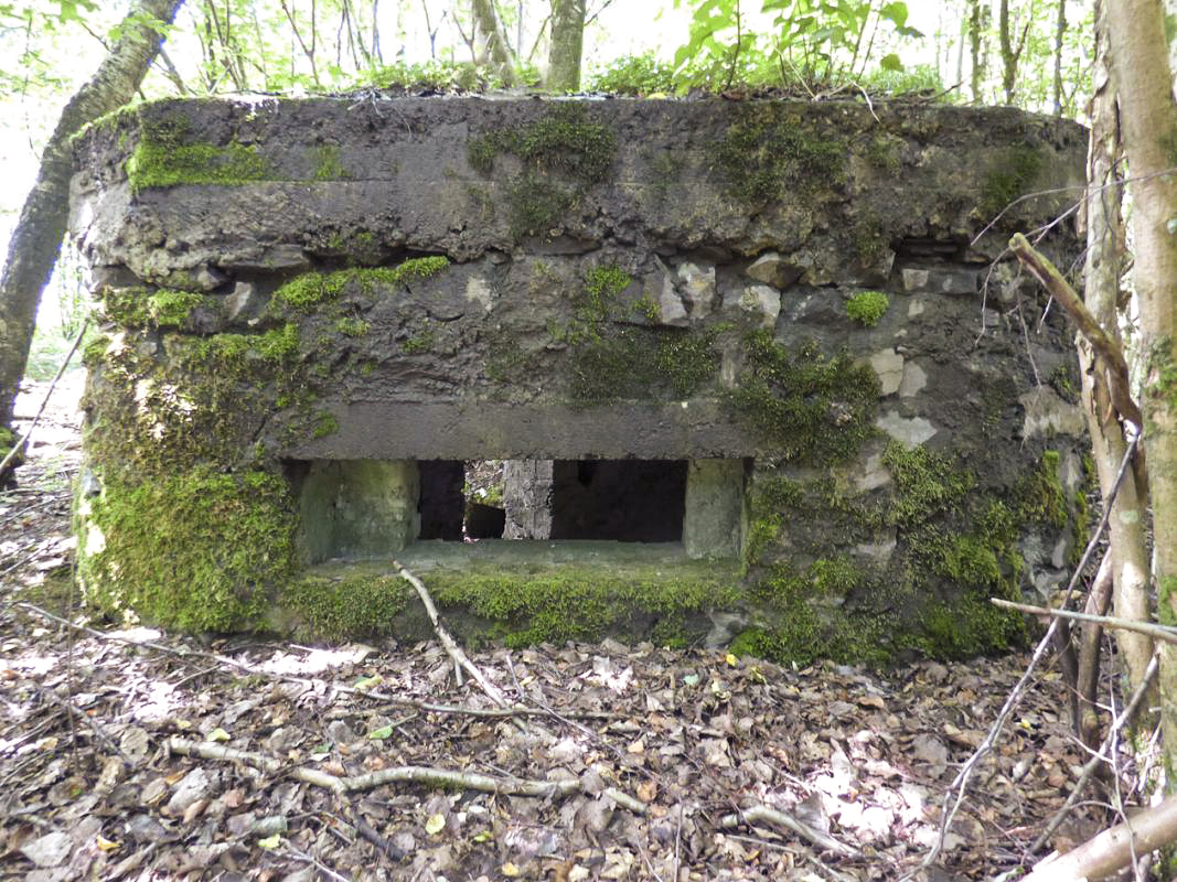 Ligne Maginot - BA46 - ÉTANG DE GLAND - (Blockhaus pour arme infanterie) -  - JMBrams