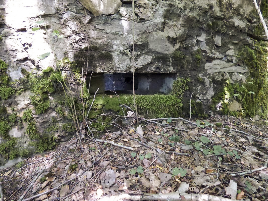 Ligne Maginot - BA46 - ÉTANG DE GLAND - (Blockhaus pour arme infanterie) -  - JMBrams