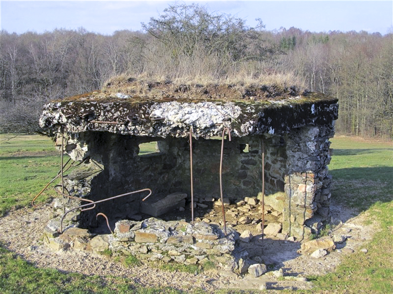 Ligne Maginot - BA47 - ÉTANG DE LA FERMIÈRE - (Blockhaus pour arme infanterie) -  - François MATHOT