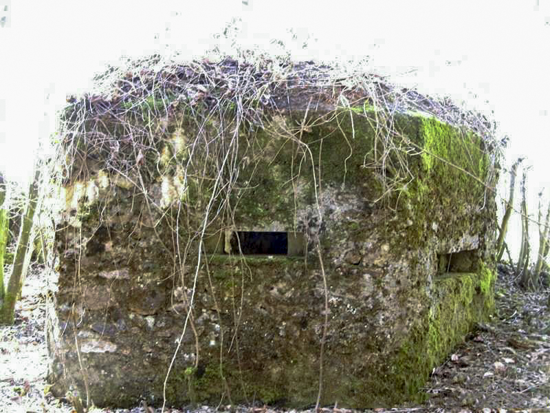 Ligne Maginot - BA48 - GRAND DOUAIRE EST - (Blockhaus pour arme infanterie) -  - François MATHOT