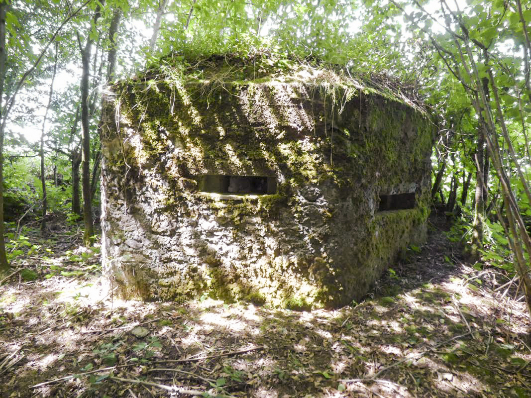 Ligne Maginot - BA48 - GRAND DOUAIRE EST - (Blockhaus pour arme infanterie) -  - JMBrams