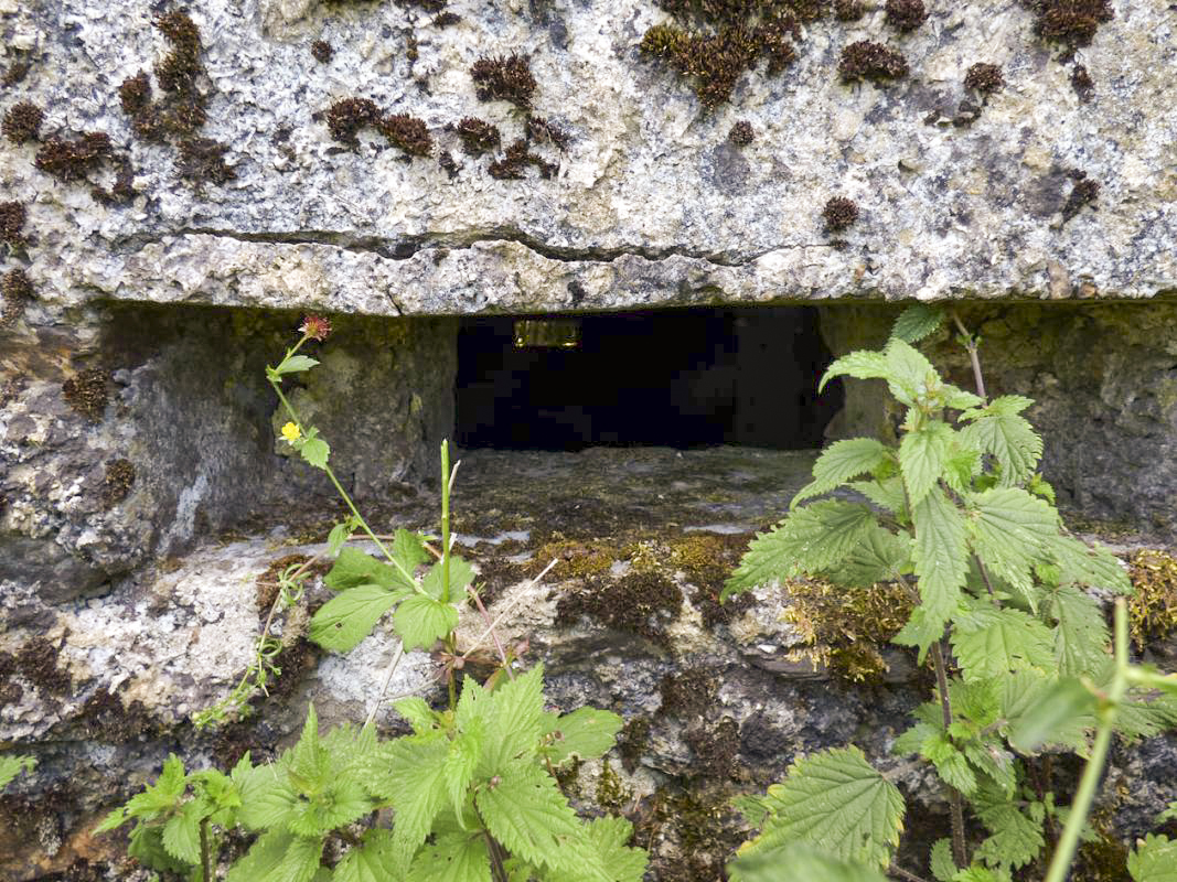 Ligne Maginot - BA48 - GRAND DOUAIRE EST - (Blockhaus pour arme infanterie) -  - JMBrams