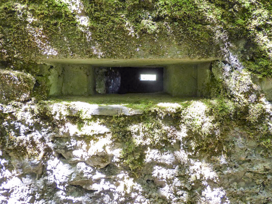 Ligne Maginot - BA48 - GRAND DOUAIRE EST - (Blockhaus pour arme infanterie) -  - JMBrams